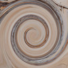 Thumbnail Light Bark Swirl
