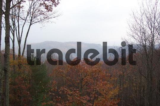 Product picture Mountain of NC in Fall -1