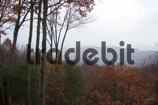 Product picture Mountain of NC in Fall -2