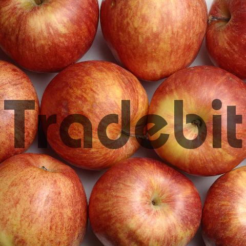 Product picture Apples Scrapbook Paper Background, Wallpaper